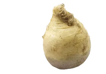 KĀĻI KG