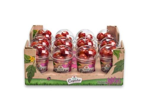 TOMĀTI CHERRY RED STAR CUPIDO, I ŠĶ., 250G, GAB