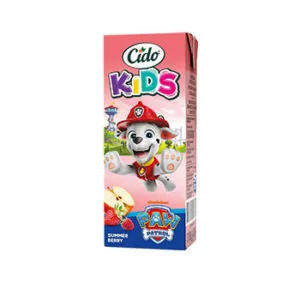 SULAS DZĒRIENS CIDO PAW PATROL VASARAS OGU 0.2L