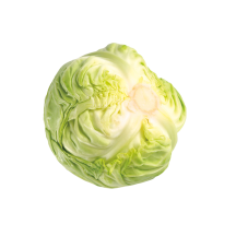 KĀPOSTI KG