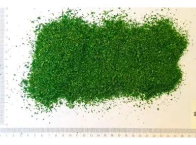 SALDĒTS TIMIĀNS HERBAFROST, 1-3MM, 250G IQF