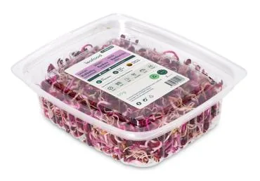 MIKROZAĻUMI VIOLETO REDĪSU ASNI LEAFOOD