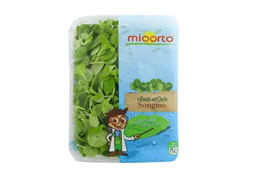 SALĀTI MIO ORTO SONGINO VALERIANA 125G