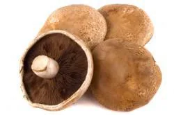 SĒNES "PORTABELLA", FASĒTAS 280GR.,GAB