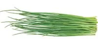 MAURLOKI FASĒTI, 30G, GAB