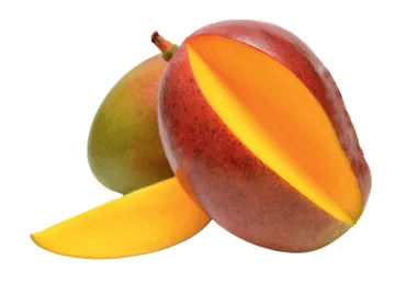 MANGO MAZIE GAB.