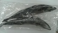 ATLANTIJAS MAKRELE, AR GALVU, 400-600G, 10%, ~ 1KG