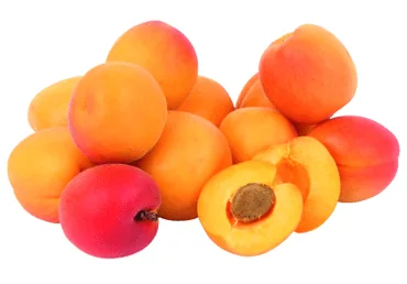APRIKOZES KG