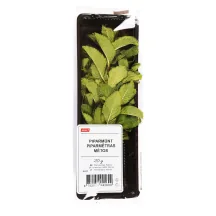 PIPARMĒTRA RIMI 20G