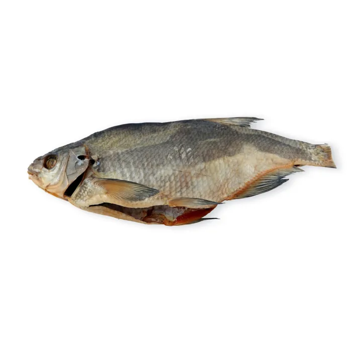 PLAUDIS DAUPARU ZUVIS AR GALVU IZĶIDĀTS, ŽĀVĒTS KG