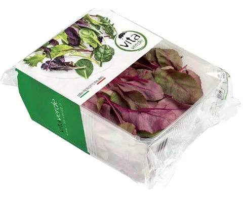 BIEŠU LAPAS SARKANAS, 1.ŠĶ., 100GR, GAB