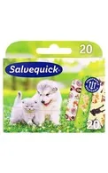 SALVEQUICK ANIMALS, 20 PLĀKSTERI