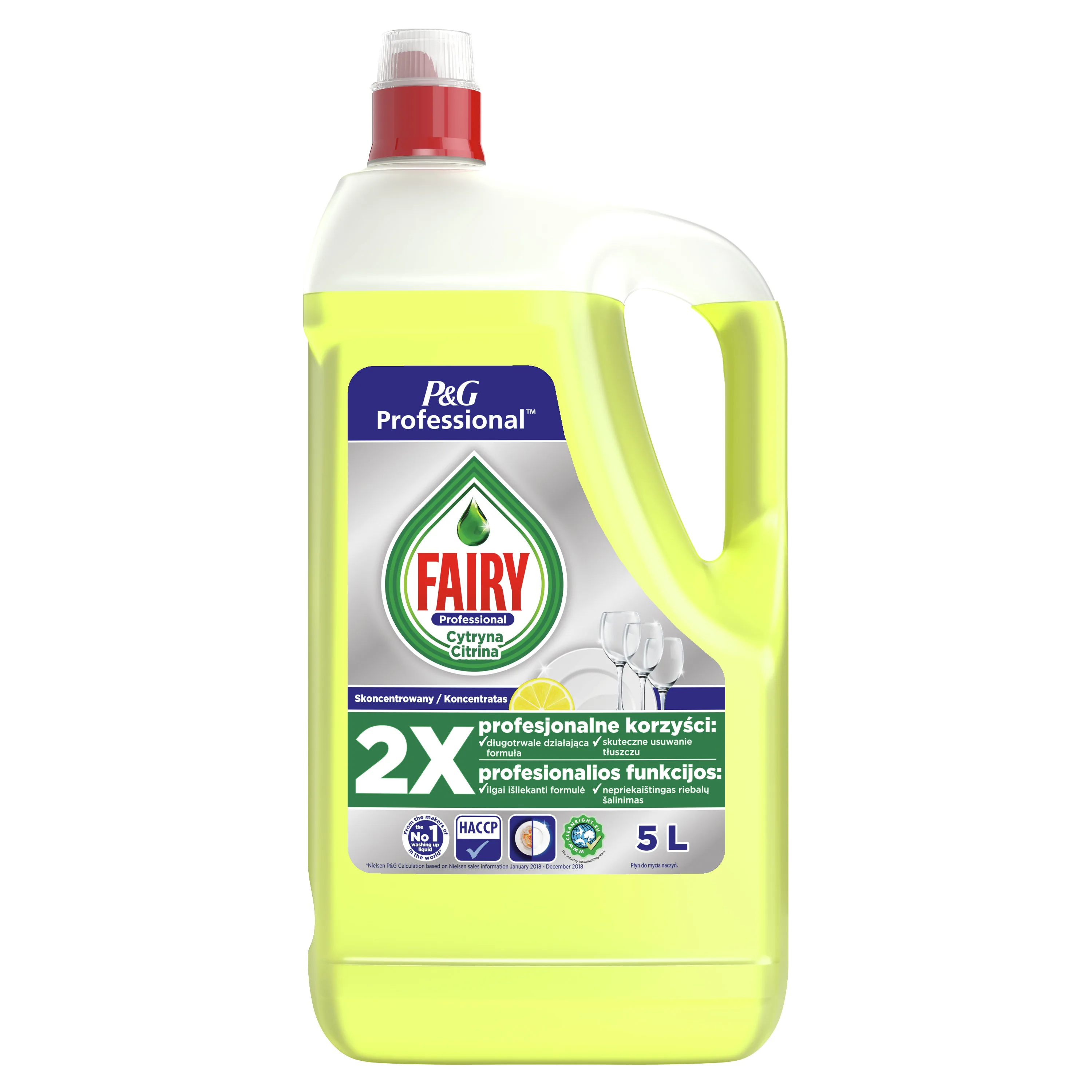 FAIRY PGP PROFESSIONAL LEMON 5L TRAUKU MAZGĀŠANAI