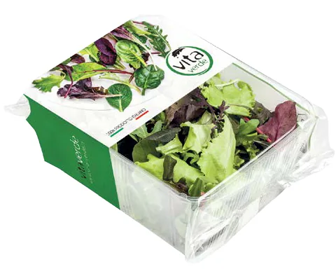 SALĀTI "SALĀTU MIX" 100GR, 2.ŠK, GAB