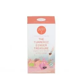 ZĀĻU TĒJA THE TURMERIC GINGER TREASURE BIO 2GX20