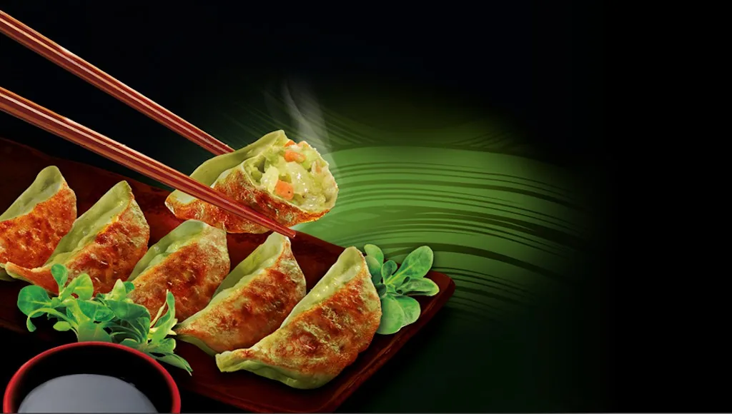 PELMEŅI JAPĀŅU STILĀ (DUMPLINGS) AR DĀRZIŅIEM GYOZA SHIRAKIKU 600G