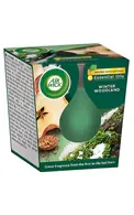 AIR WICK WINTER WOODLAND AROMĀTISKĀ SVECE, 105G