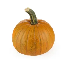 ĶIRBIS HALLOWEEN KG