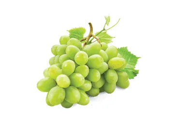VĪNOGAS GAIŠĀS LIELĀS KG