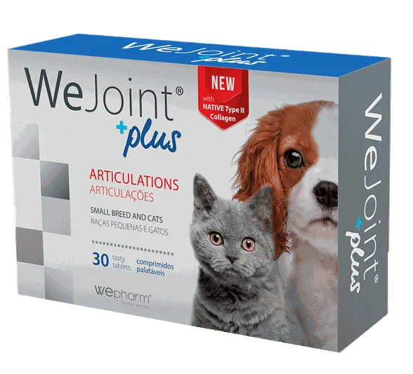 Wepharm Wejoint Plus Mazo šķirņu suņiem un kaķiem tabletes, 30 gab.