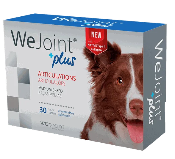 Wepharm Wejoint Plus vidējo šķirņu suņiem tabletes, 30 gab.