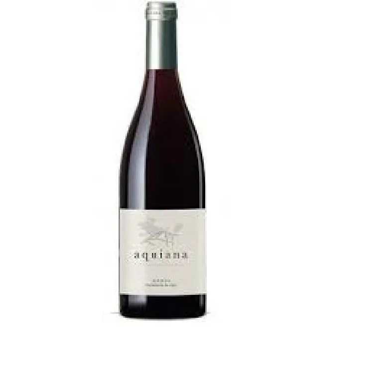 Красное вино Merayo Aquiana Mencia Bierzo, сухое, 14,5%, 0,75 л