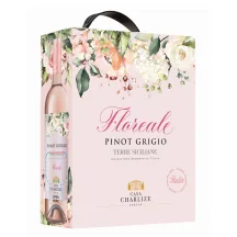 Розовое вино Casa Charlize Floreale Pinot Grigio Blush, игристое, 12%, 3 л