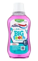 AQUAFRESH BIG TEETH MUTES SKALOJAMAIS LĪDZEKLIS, 300ML