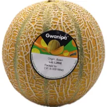 MELONE GWANIPA, KG
