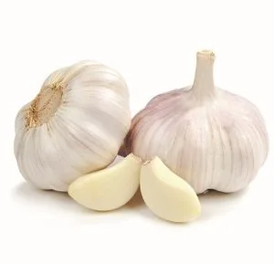 ĶIPLOKI FASĒTI  2ŠĶ ĶĪNA