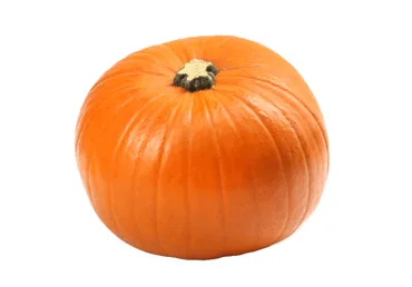 ĶIRBJI ORANŽIE KG