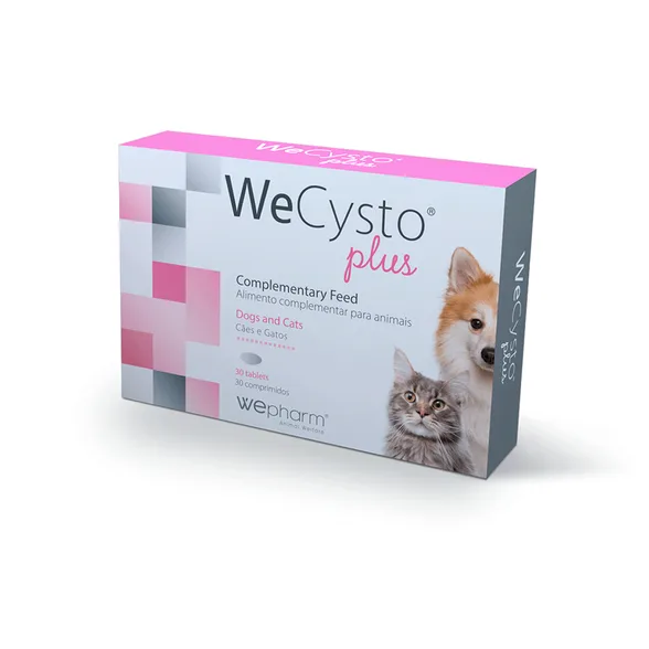 Wepharm Wecysto Plus tabletes, 30 gab.
