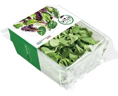 SALĀTI "VALERIANA" 100GR, 2.ŠK, GAB