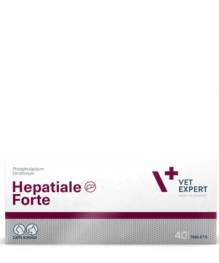 Hepatiale Forte, 300 мг, 40 шт.