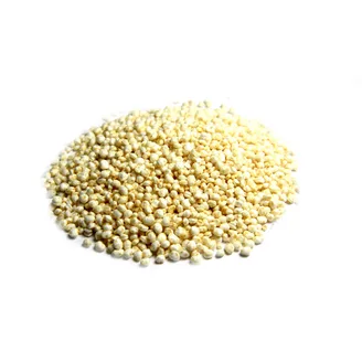 KVINOJA JUST NATURE UZPŪSTA 100G