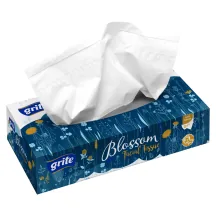 KOSMĒTIKAS SALVETES GRITE BLOSSOM 2 SLĀŅI, 80GAB.