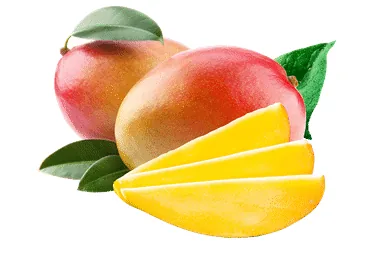 MANGO LIELIE GAB.