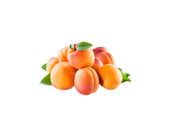 PERSIKI DZELTENIE KG