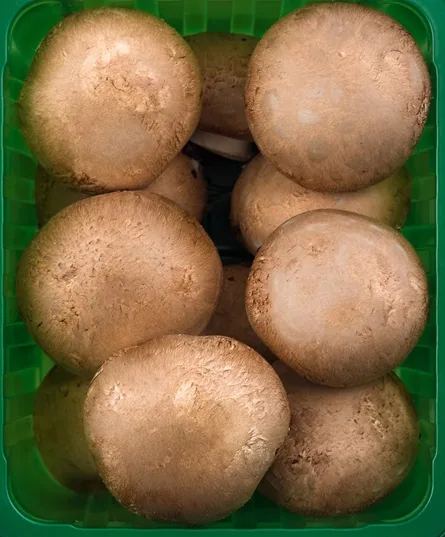 SĒNES, ŠAMPINJONI BRŪNI, FASĒTI, 250G, GAB