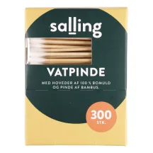 VATES KOCIŅI SALLING 300 GAB