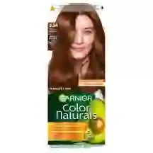 MATU KRĀSA GARNIER COLOR NATURALS ILGNOTURĪGA 5.34 ZELTAINI KASTAŅBRŪNA 1GAB.