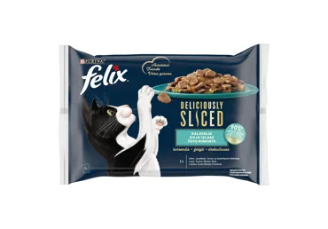 KONSERVI KAĶIEM FELIX DELICIOUSLY ZIVJU IZLASE 4X80G