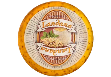 SIERS GOUDA LANDANA AR GRIEĶU SIERĀBOLIŅU KG
