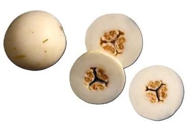 MELONES BALTĀS KG