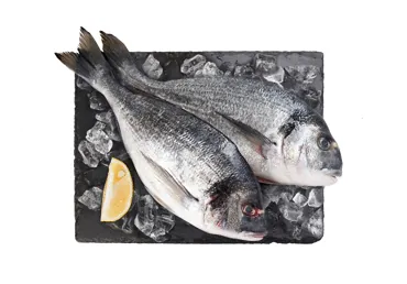 JŪRAS KARŪSA DORADA ATDZESĒTA KG