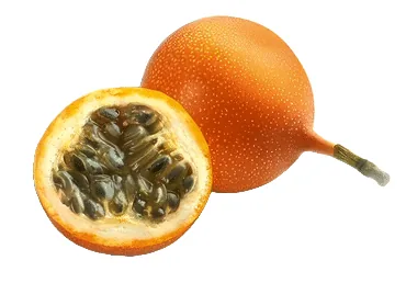 GRANADILLA GAB.