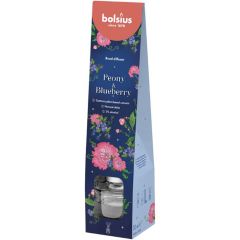 GAISA ATSVAIDZINĀTĀJS 30ML PEONY&BLUEBERRY