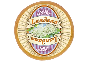 SIERS LANDANA AR PLUŠKOKA ZIEDU KG