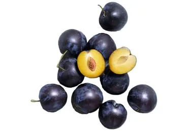 PLŪMES TUMŠĀS KG