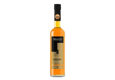 Brendijs Tbilvino Brandy 3YO 40% 0,5 l